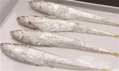 海门市场上长江刀鱼稀少