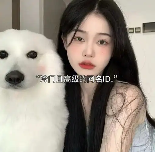 冷门且高冷的网名