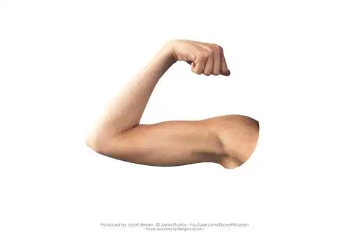 女性上肢胳膊图