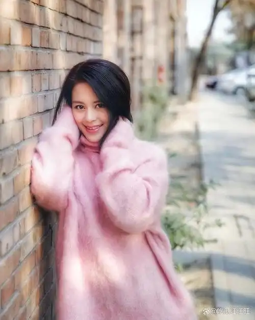 王力可撞脸宁静阿娇被称央视亲闺女演了多次女主仍不红