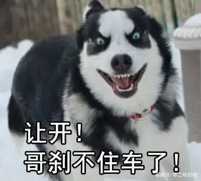 二哈的表情包