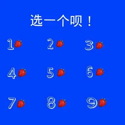 选一个,愿赌服输