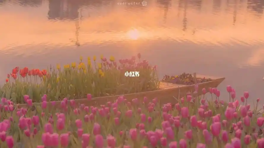 高清电脑壁纸温柔散人间