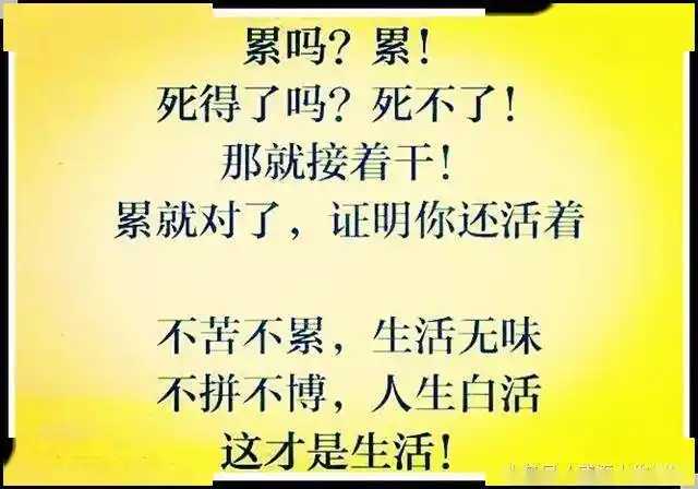 不苦不累生活无味