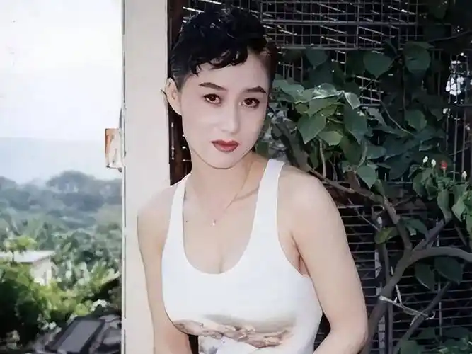 遇上李连杰才过上了十指不沾阳春水的阔太生活然而谁能想到 利智成名