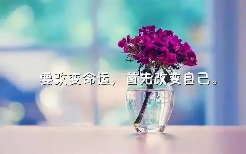 简单生活心态的句子放好心态顺其自然的句子