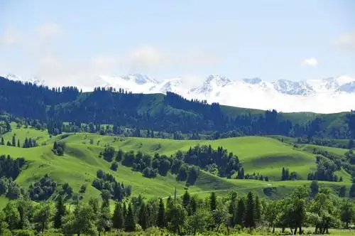 北疆看风景——那拉提大草原【一】.