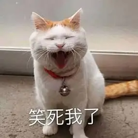 笑死我了 - 萌猫qq表情包_qq表情包_微信表情包表情