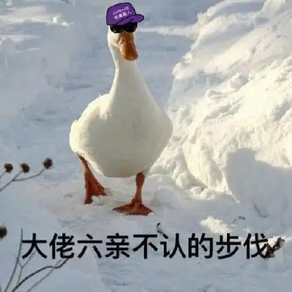 大佬六亲不认的步伐 - 一波小鸭子表情包