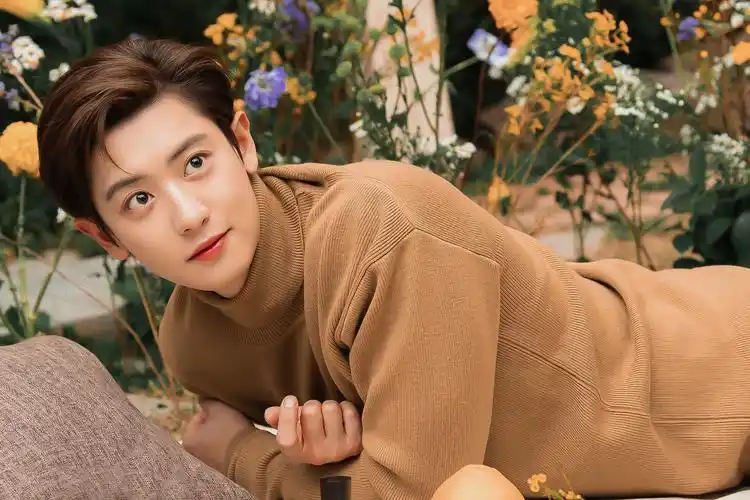 朴灿烈有哪些超级好看的照片毫不掩饰我就是想收图