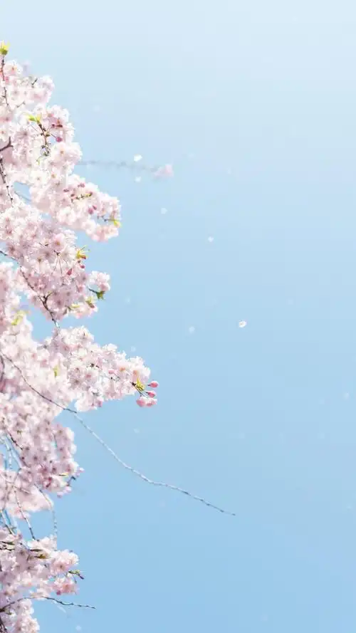 文艺小清新日本风景,高清图片,手机锁屏桌面-壁纸族