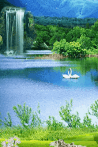 320_480竖版 竖屏gif 动态图 动图