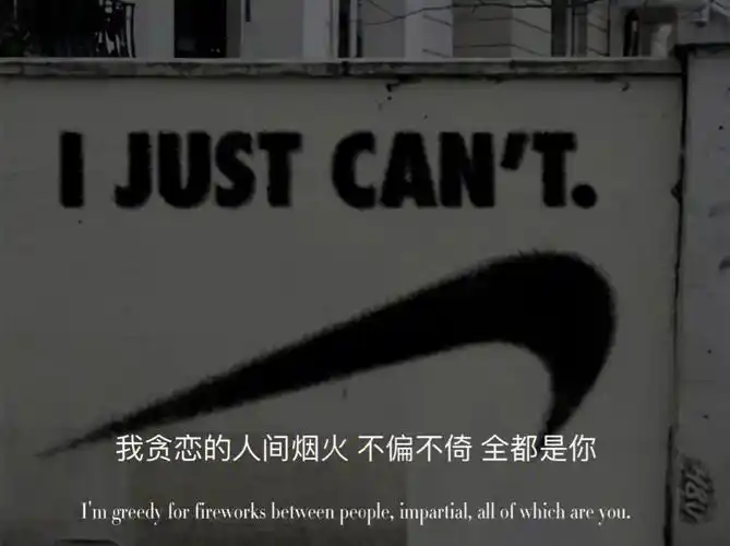 我贪恋的人间烟火