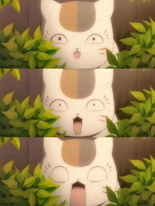 夏目友人帐 猫咪三三老师 夏目