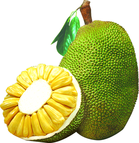 水果菠萝蜜png图片