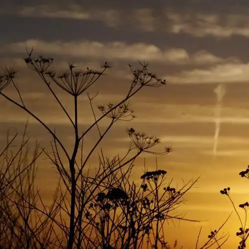 夕阳风景头像光景交融的日落黄昏的夕阳唯美图片