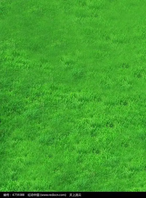 唯美清新生态绿草地高清图片