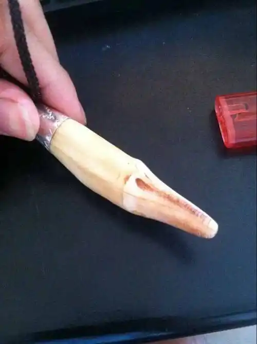 狗熊牙一个出售