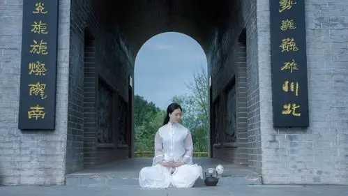 茶韵——遇见一片神奇的东方树叶