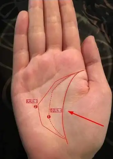 三种富婆命的手纹特征,看看你有没有大富大贵的好命
