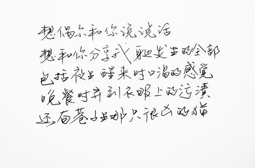 iphone壁纸 横屏 歌词 备忘录 白底 钢笔 古风 黑白 闺密 伤感 青春