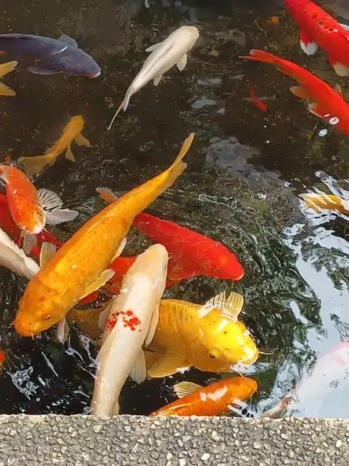 1440_1920竖版 竖屏