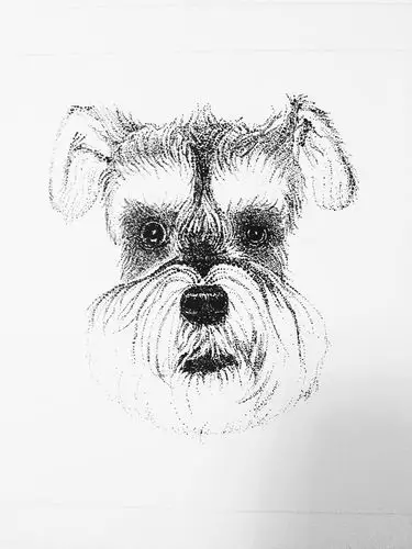 点个黑白"爷爷"