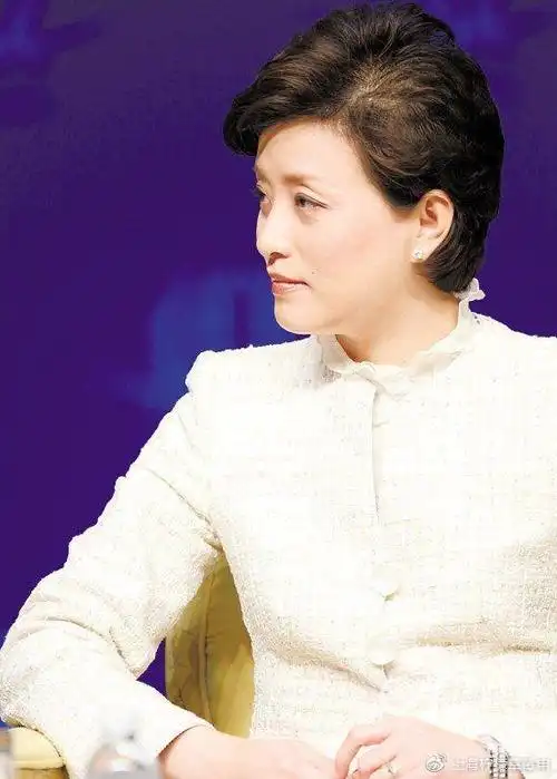 52岁杨澜全家照儿子像妈妈女儿像爸爸儿女颜值差异颇大