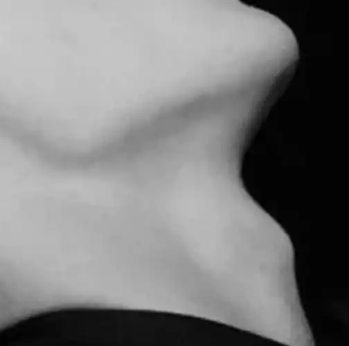 喉结锁骨手都有了