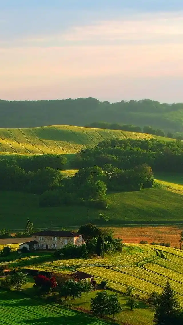 绿色草原护眼,高清图片,手机锁屏桌面-壁纸族