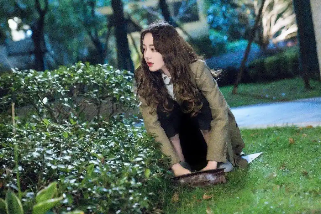 迪丽热巴壁纸:你的努力,配得上那些鲜花和掌声