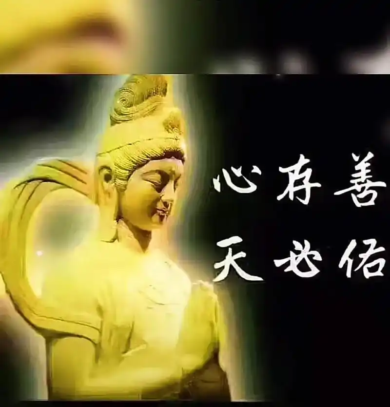 阿弥陀佛 #修心修行 #万般皆苦唯有自渡 #心如莲花 #唤 - 抖音