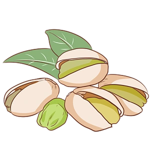 开心果坚果的插画美味开心果矢量图美味开心果插画元素卡通设计开心果