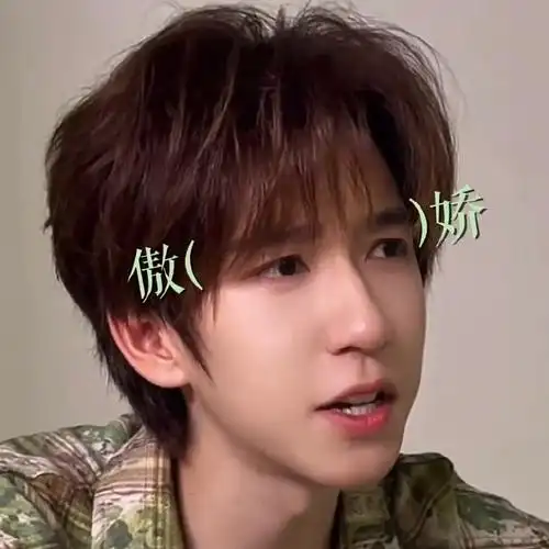 贺峻霖一个人就是一套表情包#贺峻霖咸甜粽子人格分裂