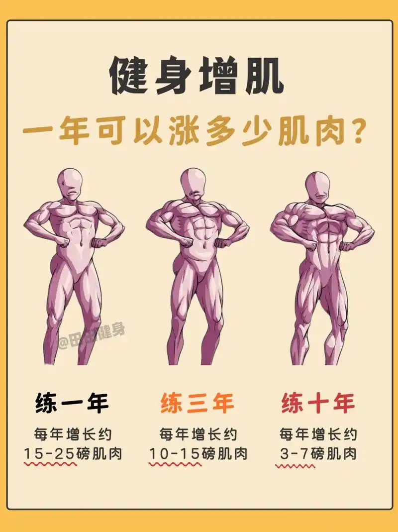 健身一年可以涨多少肌肉?#增肌 #健身 #脏增肌 #健身干货 - 抖音