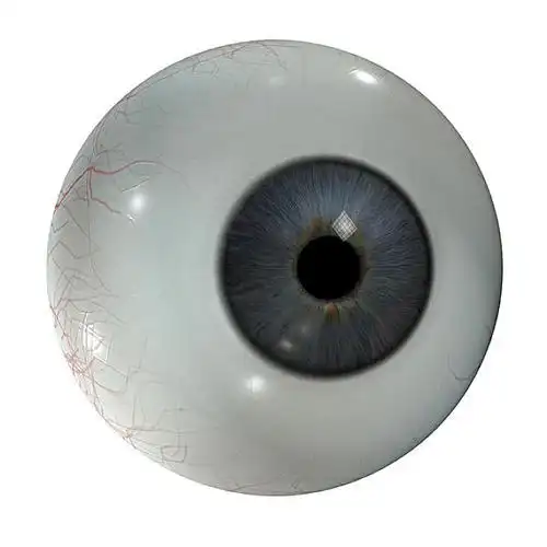 眼球图片_眼球高清图片_全景视觉