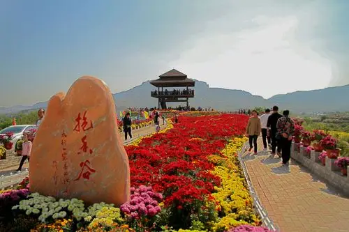 沿着抗大路来到位于邢台县邢襄古镇北侧的抱香谷景区,景区内依旧人头