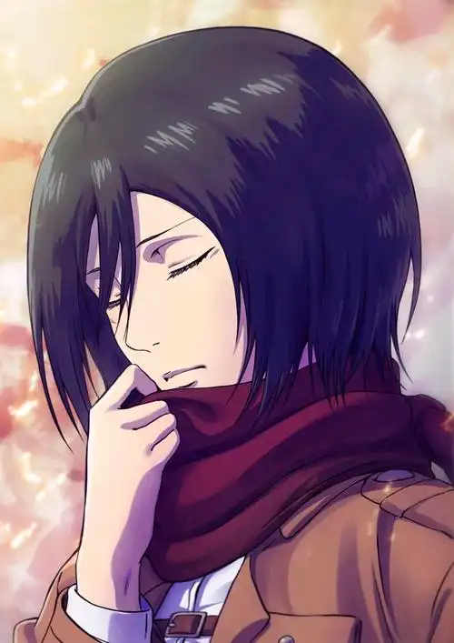 三笠- 堆糖,美图壁纸兴趣社区