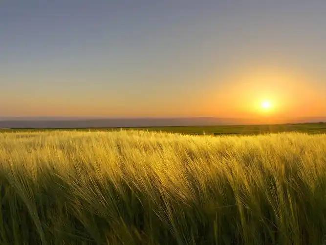 描述: 一个阳光明媚的日子结束-照片高清壁纸 当前壁纸尺寸: 1600 x