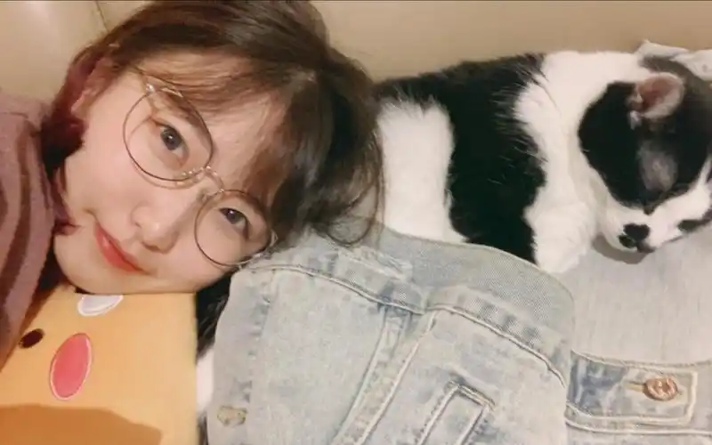 温迪cv 【喵☆酱】01/04 原神录播 完整版