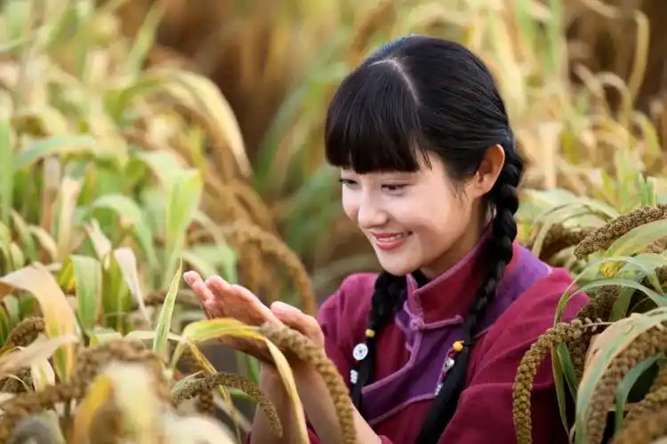 电视剧《青谷子》主要人物乌日娜的命.