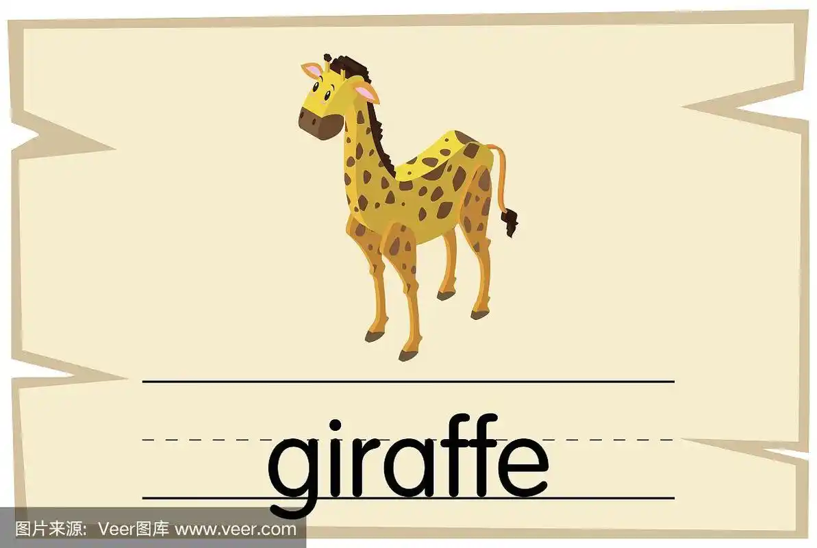 长颈鹿,单词,式样,闪卡,新加坡