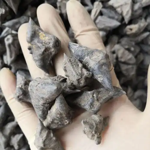 中药材铁菱角 领教 鬼见愁 四小菱角 批发零售 实物拍摄-阿里巴巴