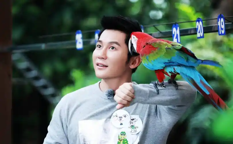 《奔跑吧9》阵容公布,邓超,鹿晗,陈赫缺席,伐木累难重聚