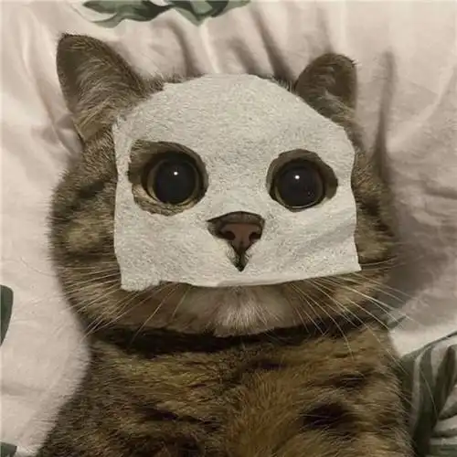 高级又沙雕的宠物头像 好玩的萌宠搞笑图片笑死人头像_动物头像_头像