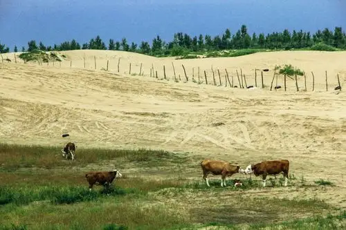 科尔沁草原和沙漠