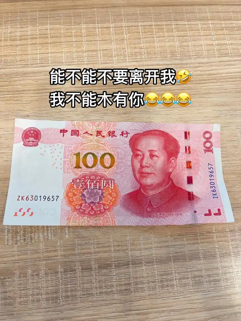 钱是最可靠的东西 #人民币呀人民币 #满脑子都是你 能不能 - 抖音