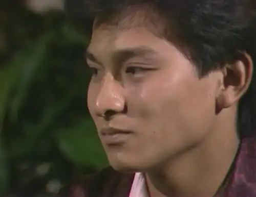 昔日重现,华仔"小鲜肉"走红之作《猎鹰》