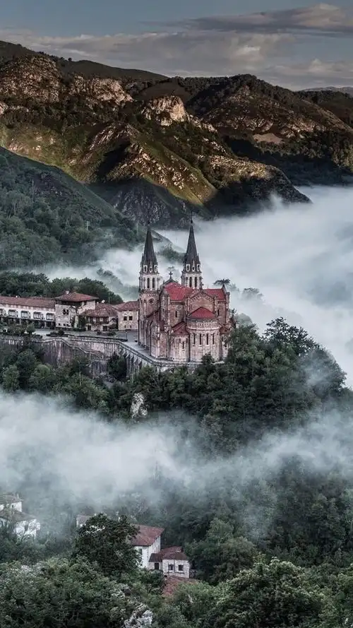 1200_2133竖版 竖屏