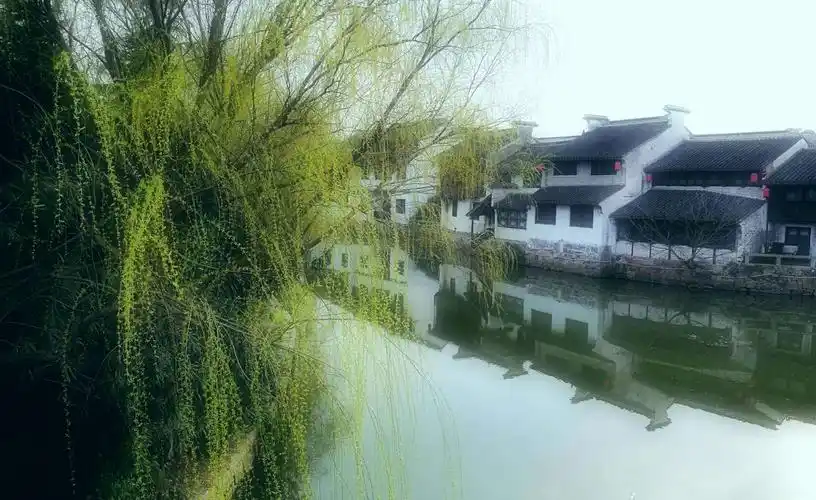 我在江南雨巷想你